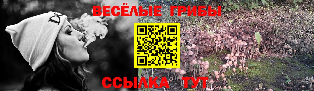 Меф мяу мяу Улан-Удэ